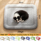 💖LAST DAY SALE ONLY￡7.99!!❄Pawchill™🇬🇧Pet Cooling Mat for Dogs & Cats 🐾 Naturally Cool Ice-Silk Pad • Breathable, Washable & Soft 🌿  For Floors, Sofas & Car Travel • Multiple Sizes • Gradient Colours ☀️🐶🐱