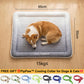 💖LAST DAY SALE ONLY￡7.99!!❄Pawchill™🇬🇧Pet Cooling Mat for Dogs & Cats 🐾 Naturally Cool Ice-Silk Pad • Breathable, Washable & Soft 🌿  For Floors, Sofas & Car Travel • Multiple Sizes • Gradient Colours ☀️🐶🐱