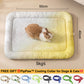 💖LAST DAY SALE ONLY￡7.99!!❄Pawchill™🇬🇧Pet Cooling Mat for Dogs & Cats 🐾 Naturally Cool Ice-Silk Pad • Breathable, Washable & Soft 🌿  For Floors, Sofas & Car Travel • Multiple Sizes • Gradient Colours ☀️🐶🐱