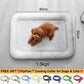 💖LAST DAY SALE ONLY￡7.99!!❄Pawchill™🇬🇧Pet Cooling Mat for Dogs & Cats 🐾 Naturally Cool Ice-Silk Pad • Breathable, Washable & Soft 🌿  For Floors, Sofas & Car Travel • Multiple Sizes • Gradient Colours ☀️🐶🐱