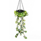 🔥Last Day Special Price:£14.99!!!🔥50K+ SOLD!🍃✨Solar-Powered Hanging Milan Grass Light