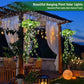 🔥Last Day Special Price:£14.99!!!🔥50K+ SOLD!🍃✨Solar-Powered Hanging Milan Grass Light