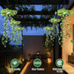 🔥Last Day Special Price:£14.99!!!🔥50K+ SOLD!🍃✨Solar-Powered Hanging Milan Grass Light