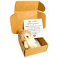 🎁Gift Idea Hot Sale 60% OFF🔥Mini Plush Pocket Teddy Bear with Greeting Card & Gift Box